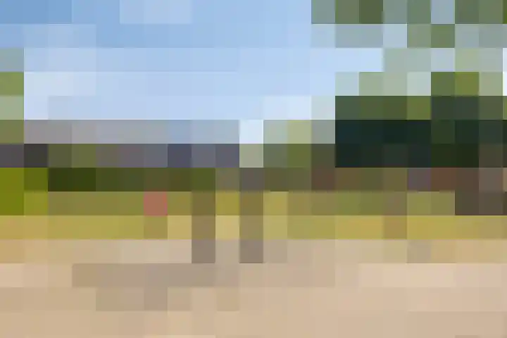Broedersdijk 11 Rijssen thumbnail 36