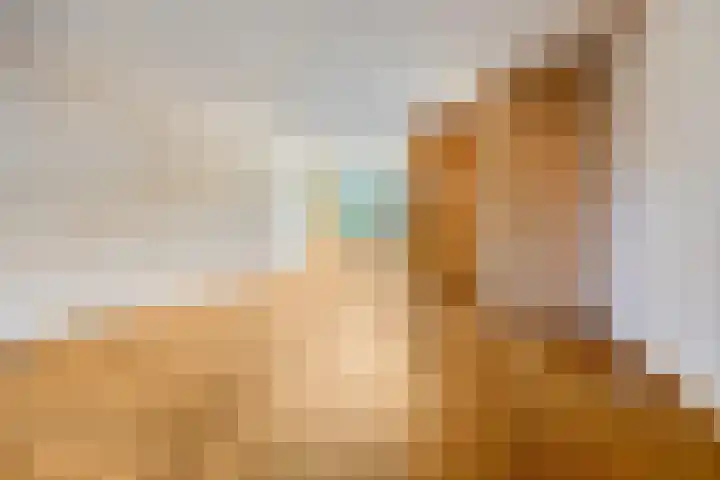Broedersdijk 11 Rijssen thumbnail 5
