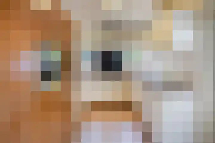 Broedersdijk 11 Rijssen thumbnail 6