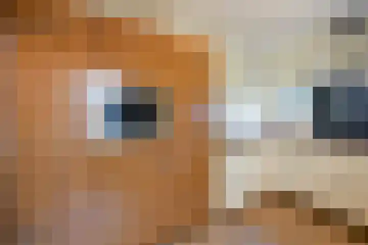 Broedersdijk 11 Rijssen thumbnail 7