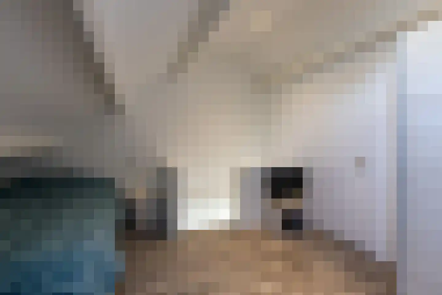 Broedersdijk 38 Rijssen thumbnail 35