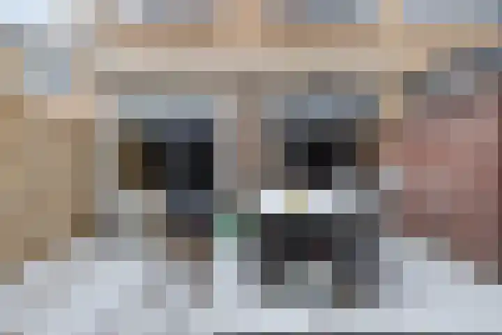 Broedersdijk 55 Rijssen thumbnail 21