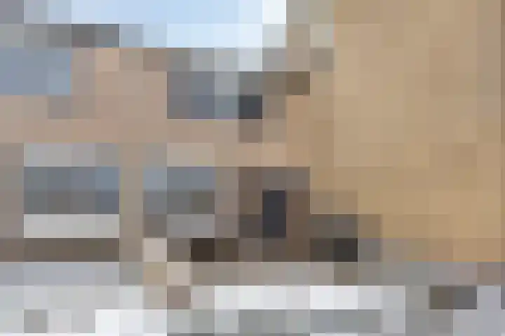 Broedersdijk 55 Rijssen thumbnail 4
