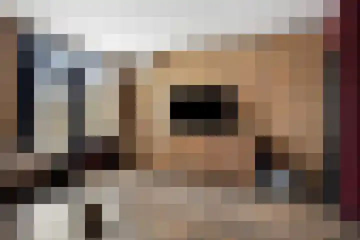 Broedersdijk 55 Rijssen thumbnail 6
