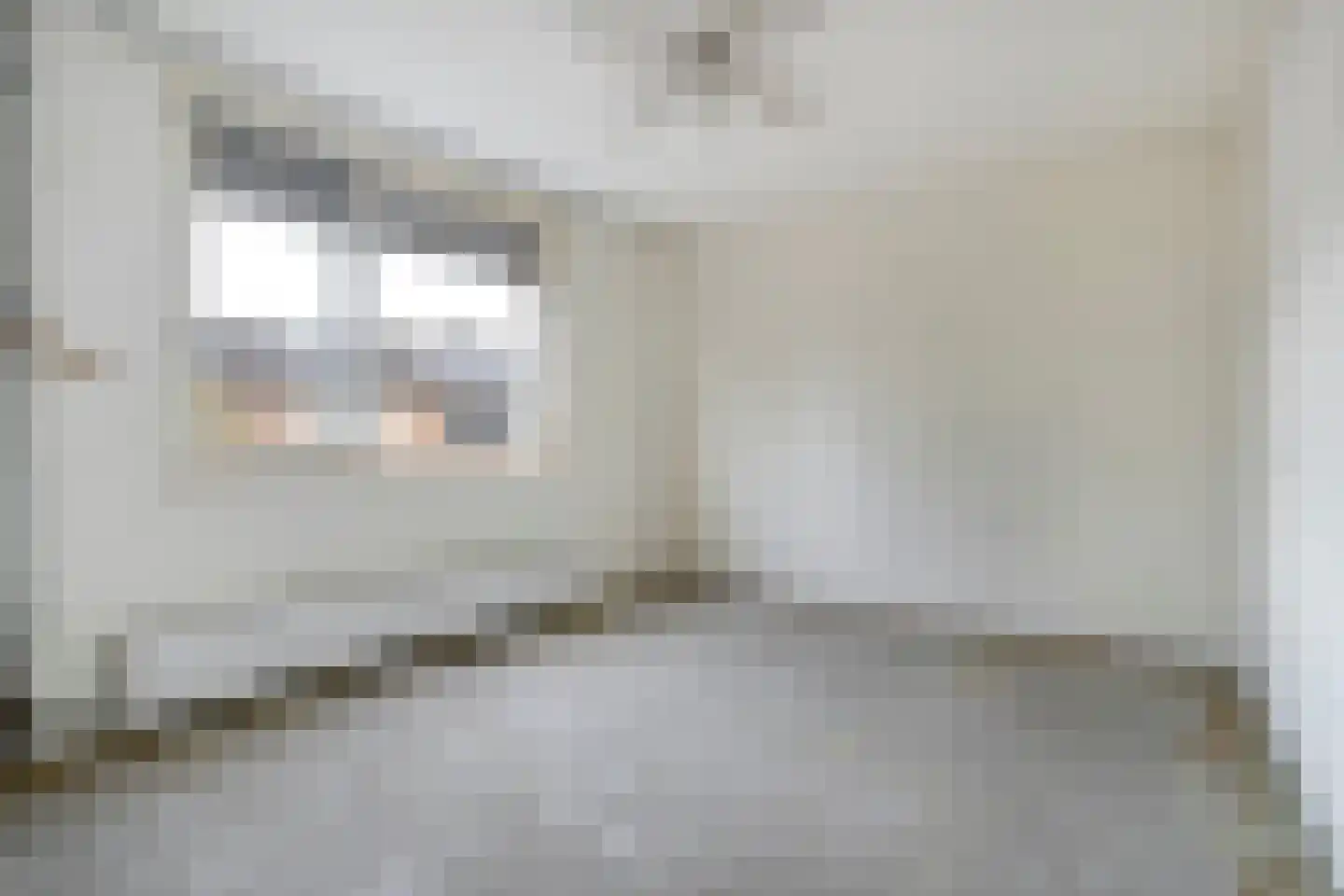 Broedersdijk 8 Rijssen thumbnail 27