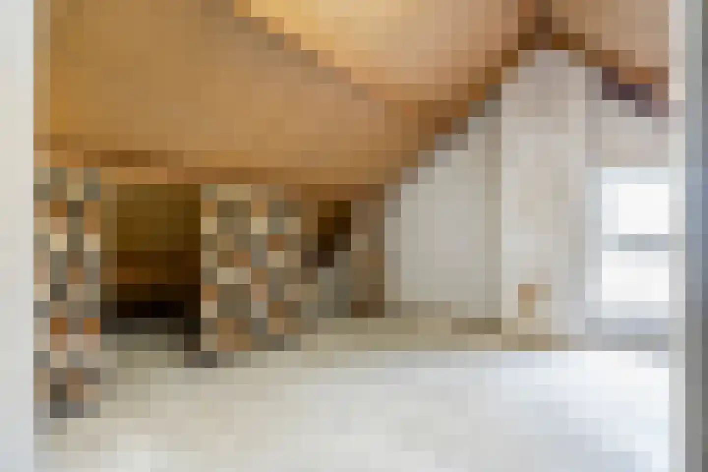 Broedersdijk 8 Rijssen thumbnail 32
