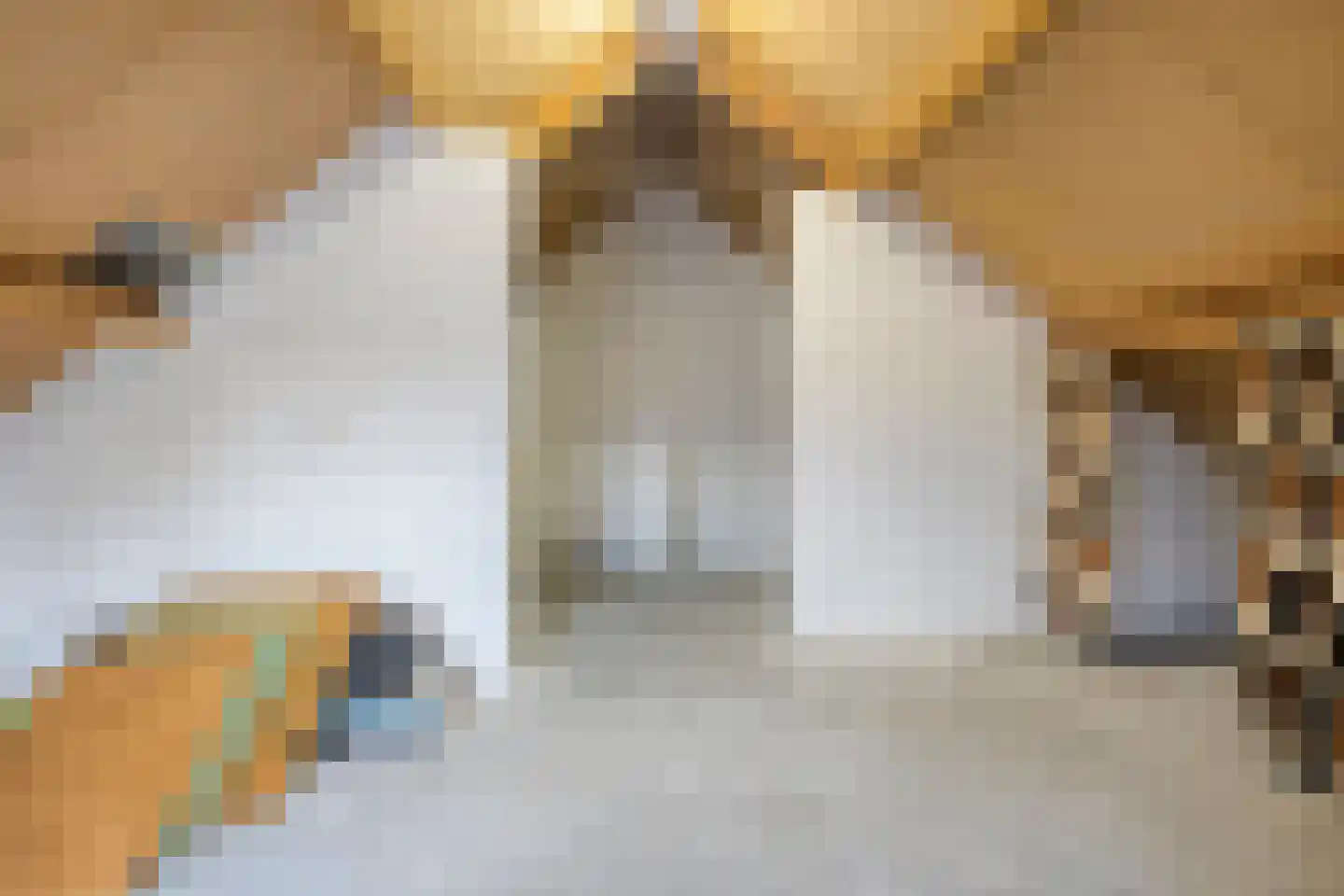 Broedersdijk 8 Rijssen thumbnail 33