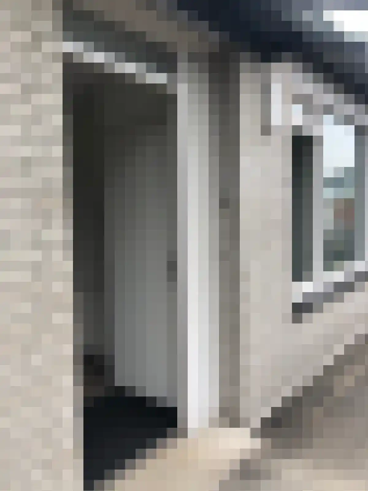 Broedershof 10 Veghel thumbnail 4
