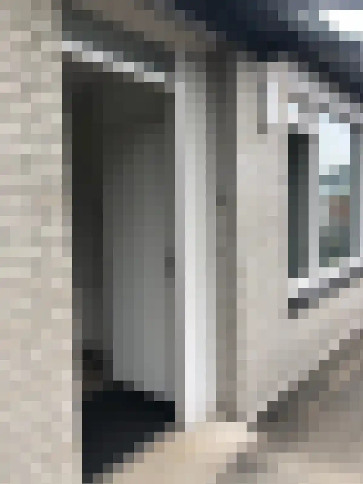 Broedershof 10 Veghel thumbnail 4