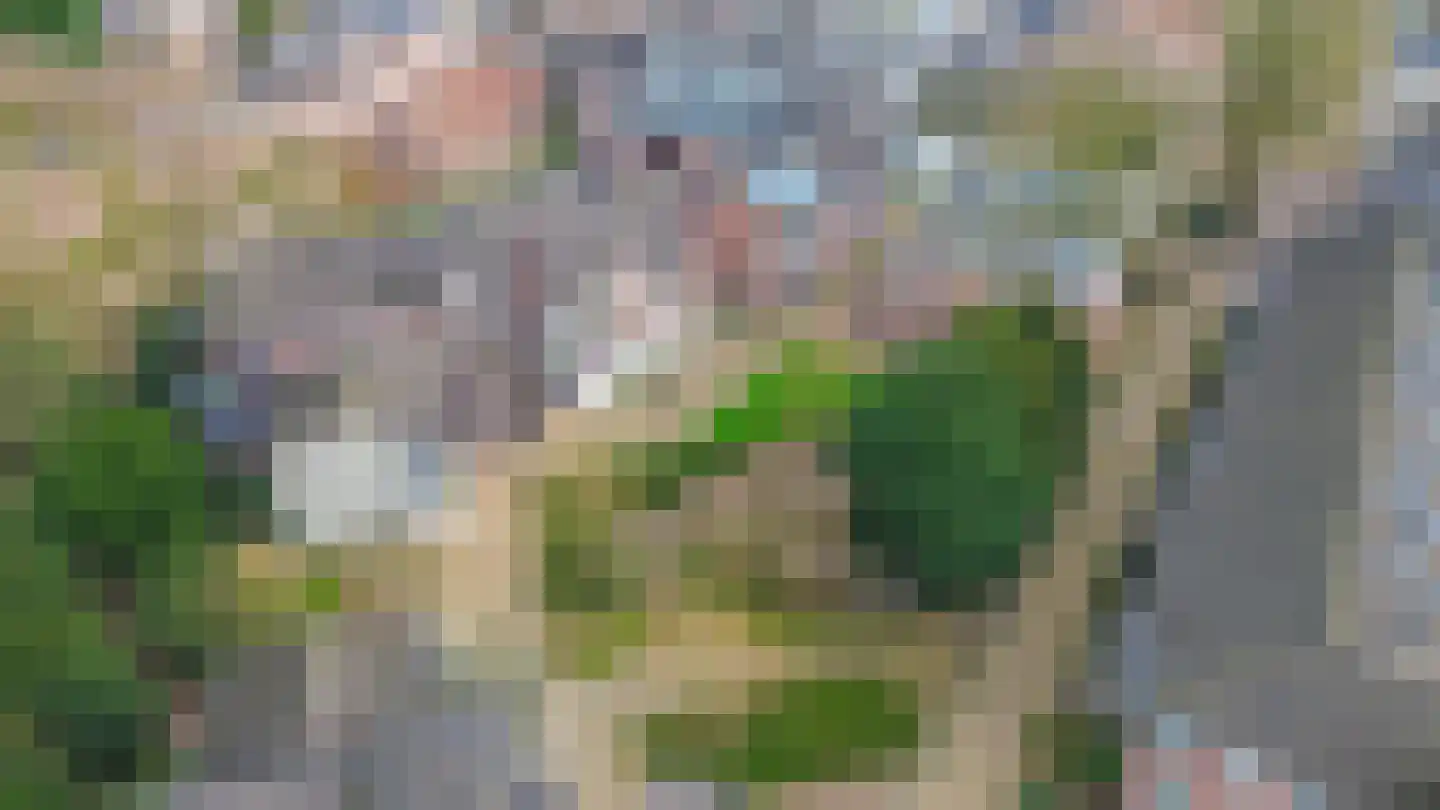 Broedershof 54 Veghel thumbnail 27