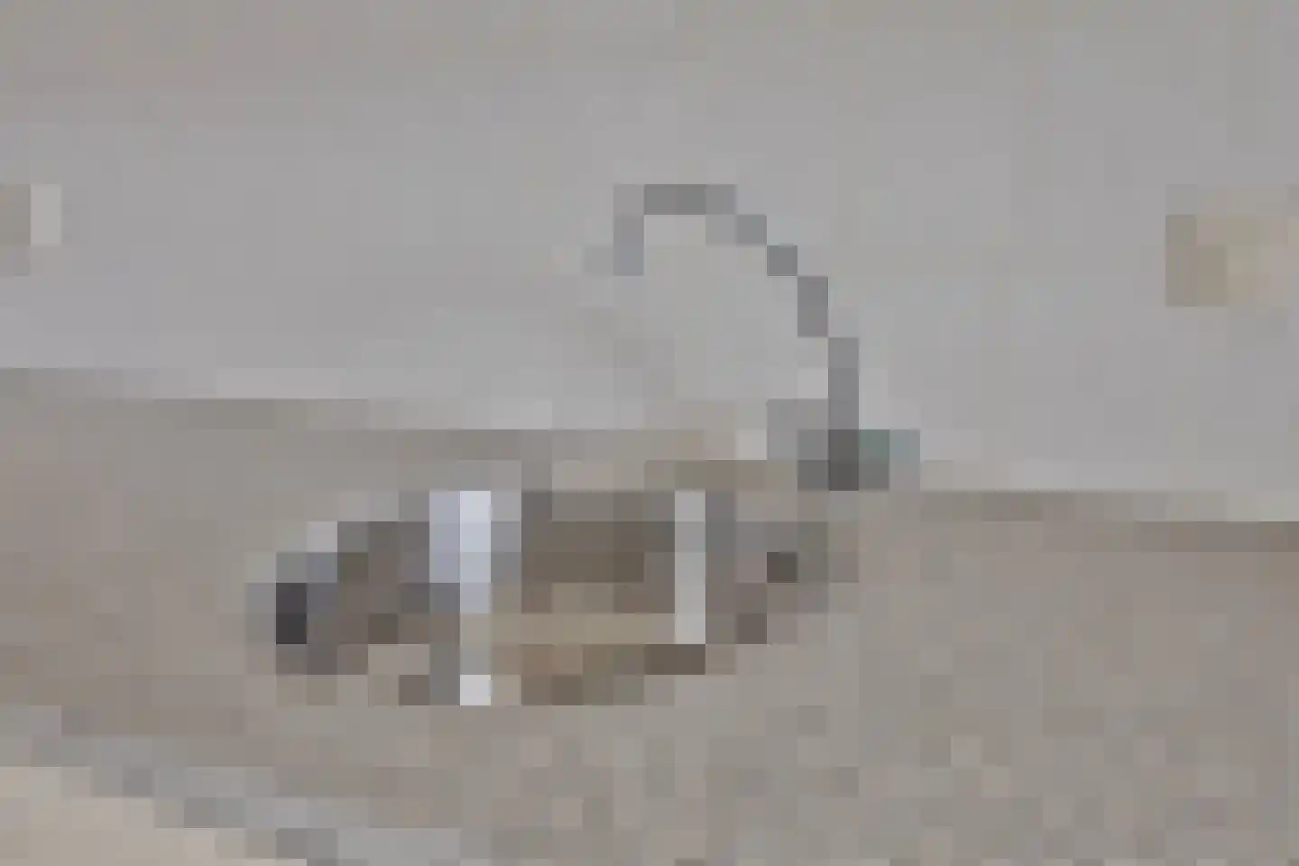 Broedershof 6 Veghel thumbnail 18