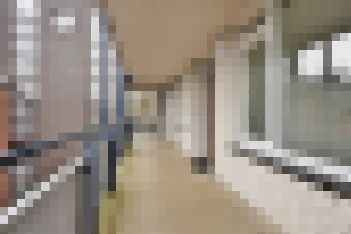 Broedershof 6 Veghel thumbnail 8