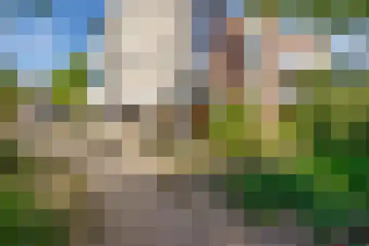 Broedershof 62 Veghel thumbnail 20