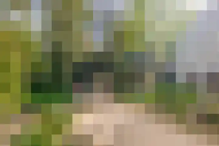 Broedershof 62 Veghel thumbnail 21