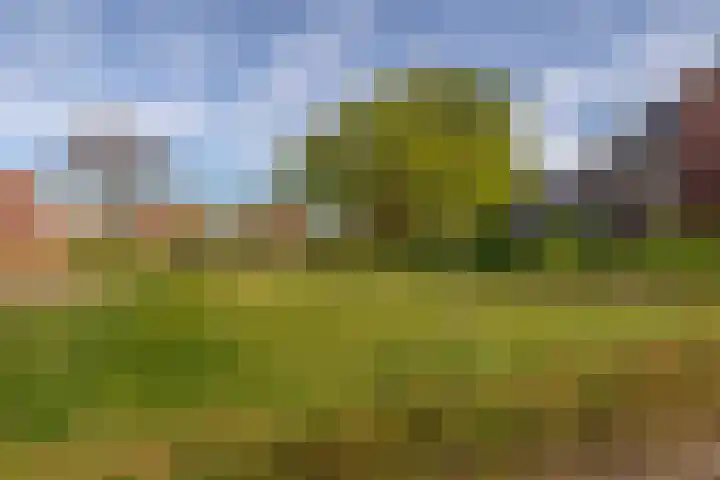 Broedershof 62 Veghel thumbnail 23