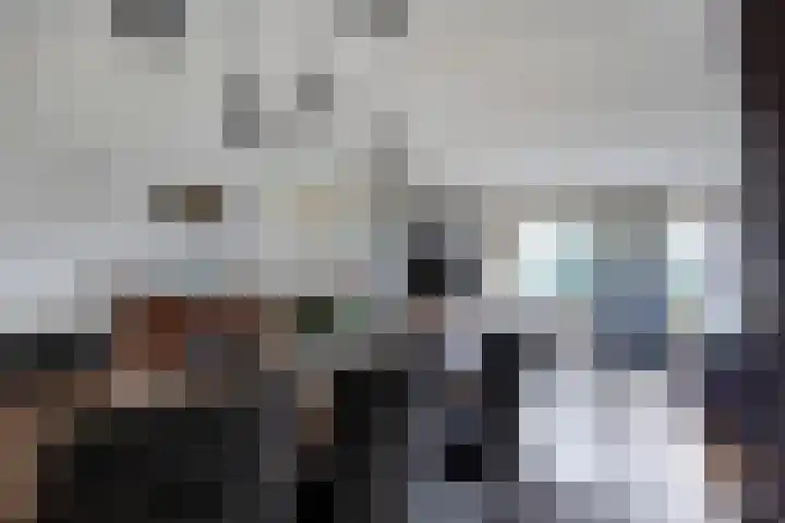 Broedershof 64 Veghel thumbnail 10
