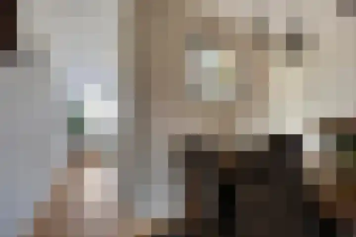 Broedershof 64 Veghel thumbnail 11