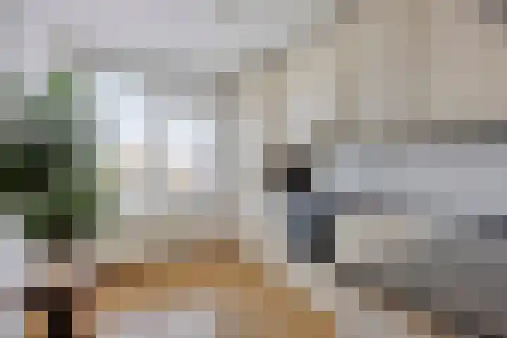 Broedershof 64 Veghel thumbnail 12