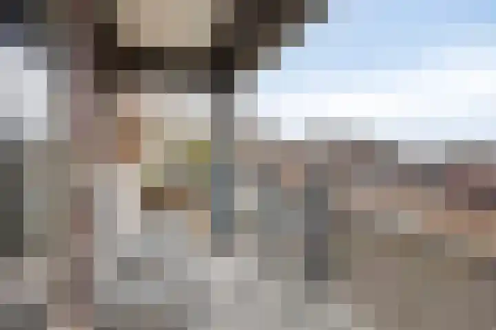 Broedershof 64 Veghel thumbnail 20