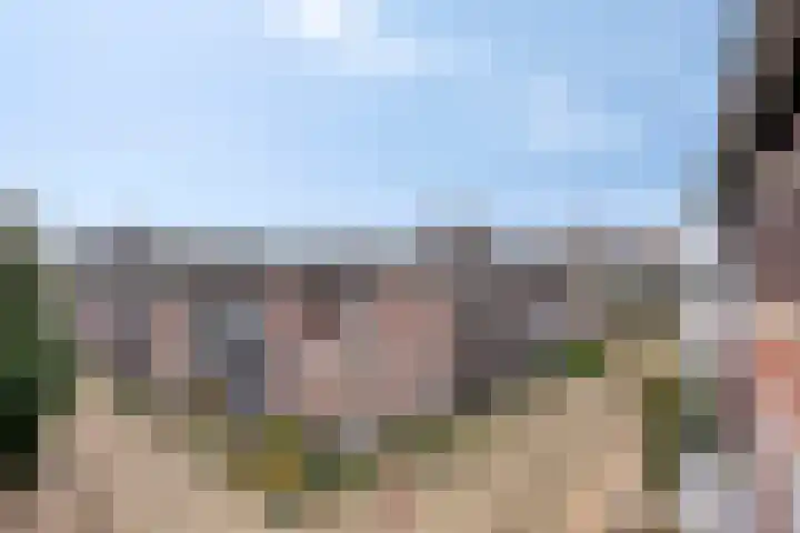 Broedershof 64 Veghel thumbnail 22