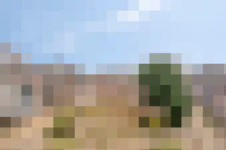 Broedershof 64 Veghel thumbnail 23