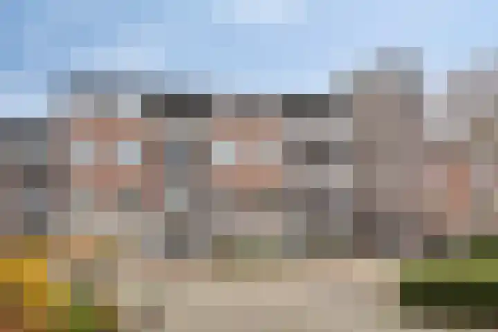 Broedershof 64 Veghel thumbnail 30