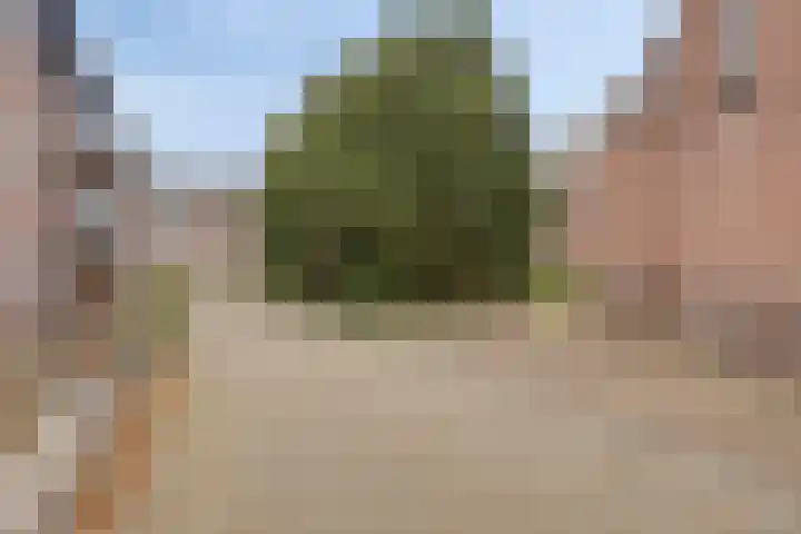 Broedershof 64 Veghel thumbnail 33