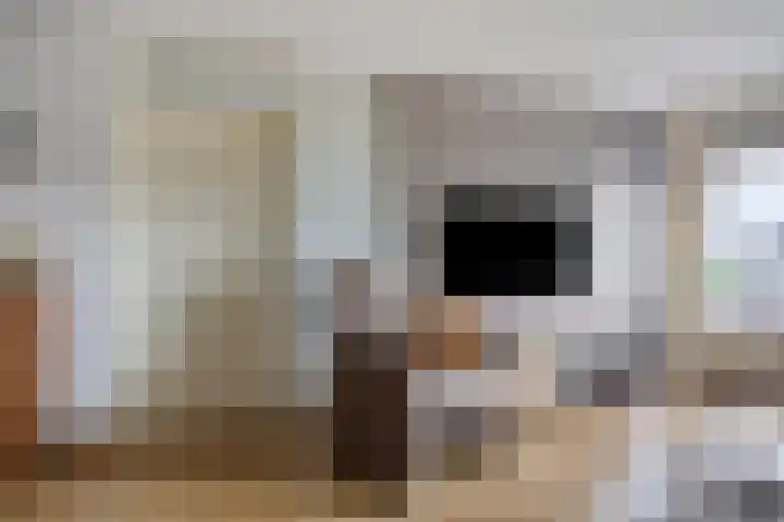 Broedershof 64 Veghel thumbnail 7