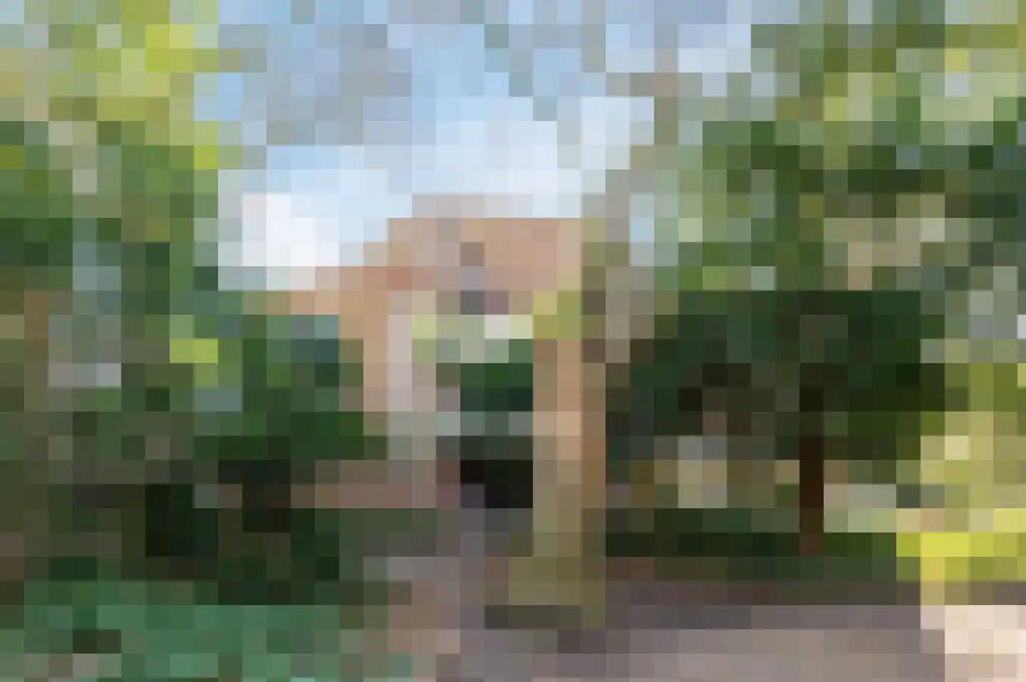 Broedershof 67 Veghel thumbnail 36