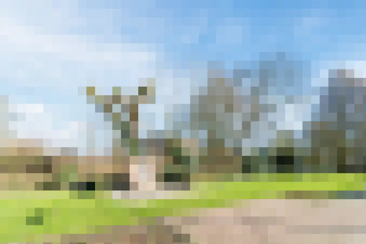 Broedershof 67 Veghel thumbnail 40