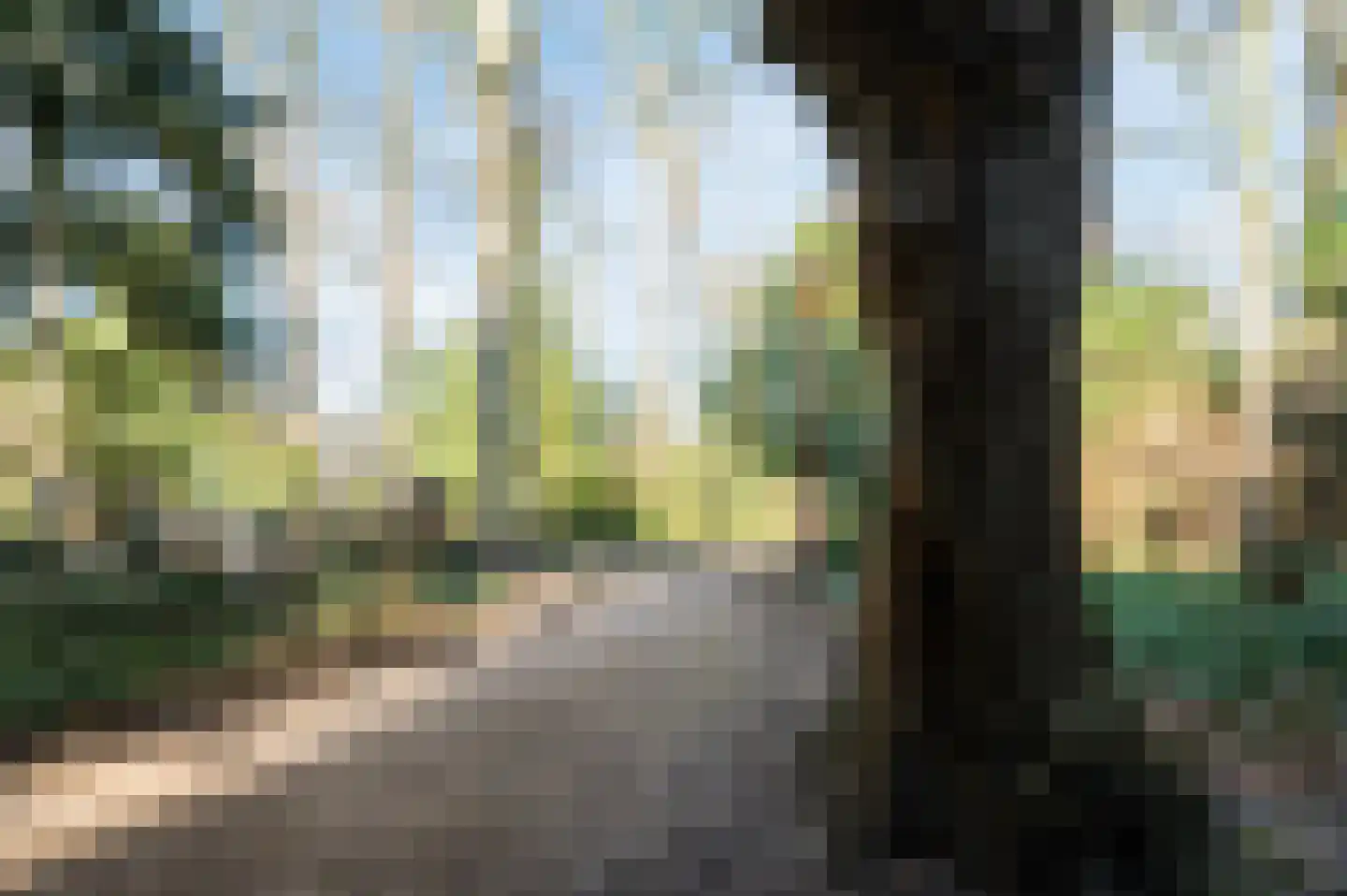 Broedershof 67 Veghel thumbnail 42
