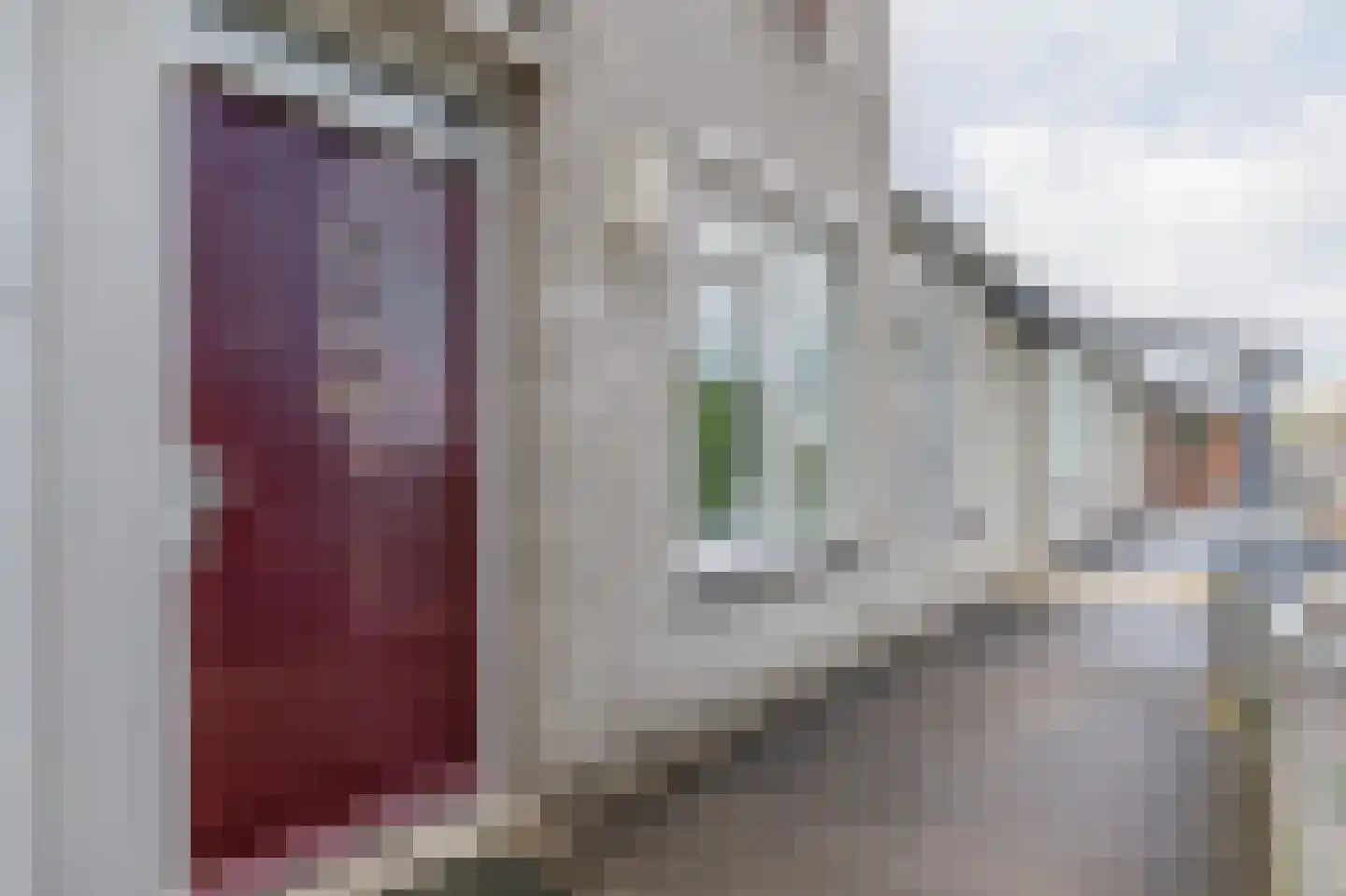 Broedershof 9 Veghel thumbnail 20