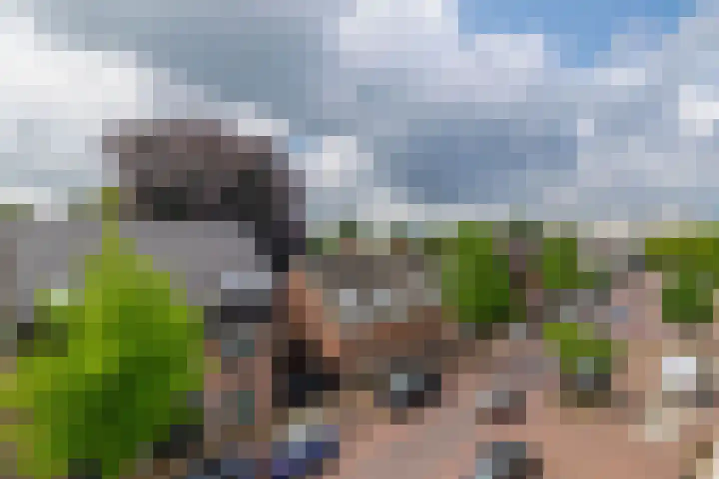 Broedershof 9 Veghel thumbnail 30