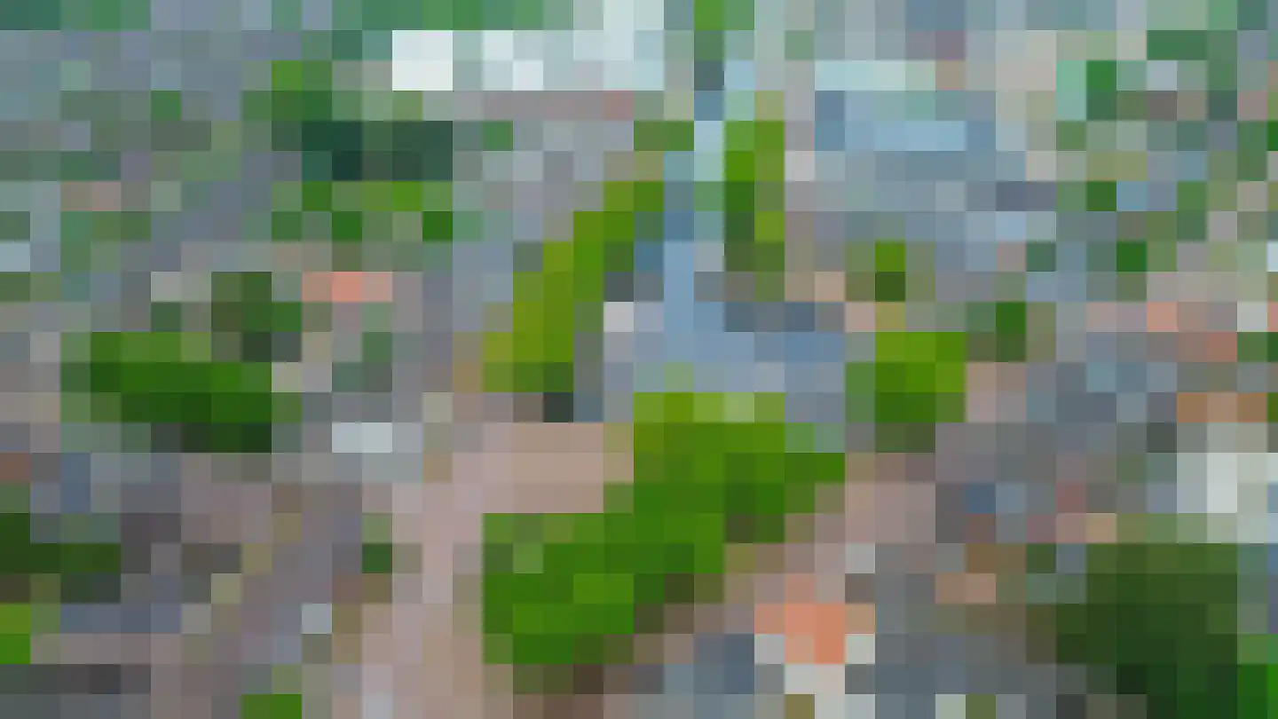 Broedershof 9 Veghel thumbnail 33
