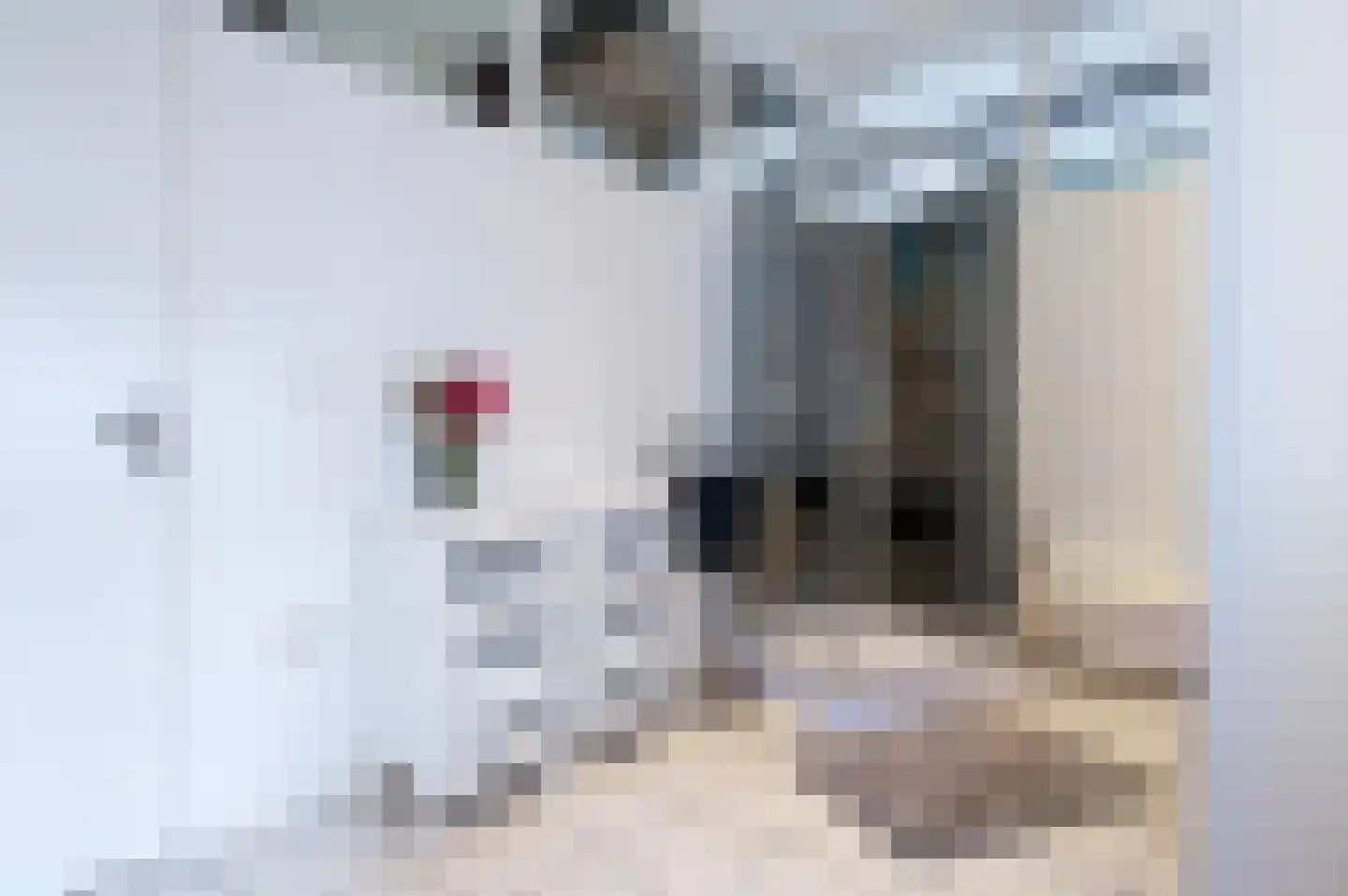 Broederstraat 2 Kampen thumbnail 11