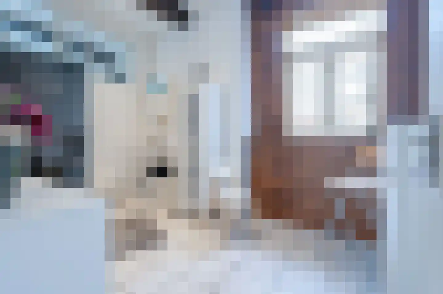 Broederstraat 2 Kampen thumbnail 12