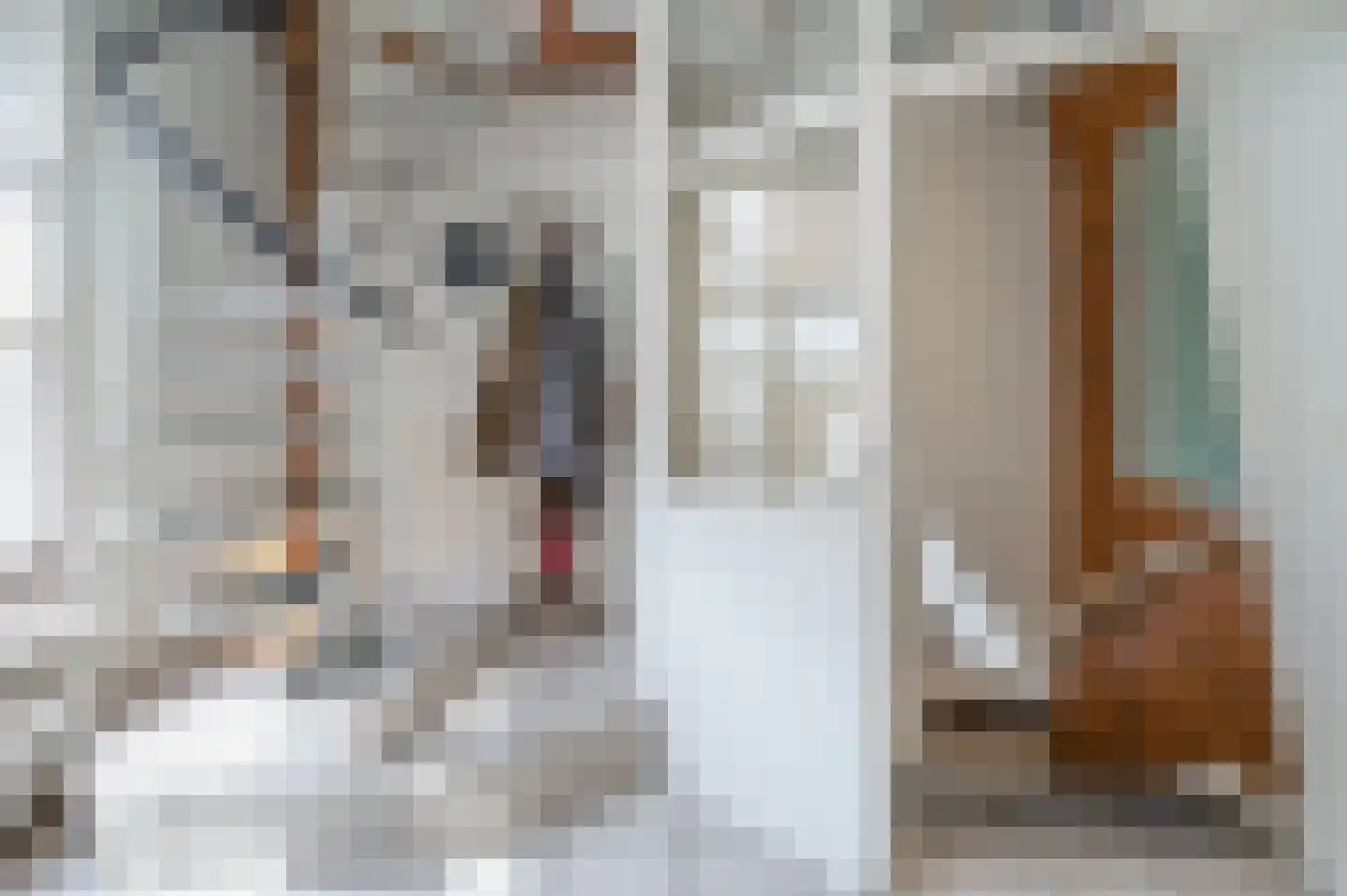 Broederstraat 2 Kampen thumbnail 20
