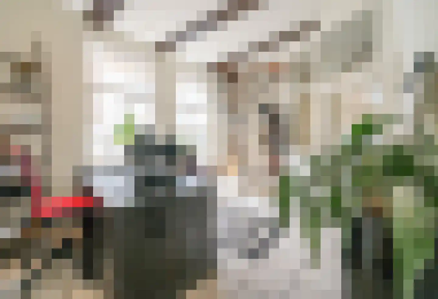 Broederstraat 2 Kampen thumbnail 5