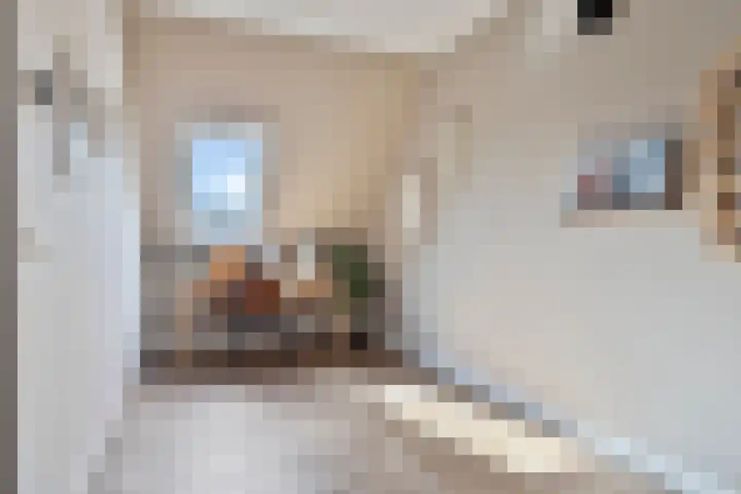 Broederwal 213 Helmond thumbnail 36