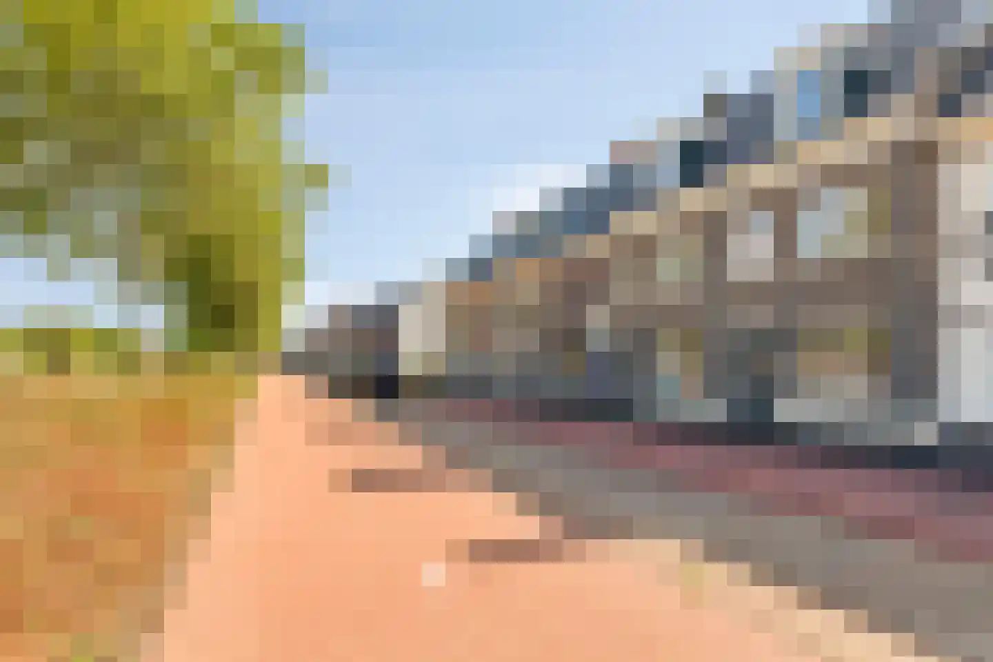 Broederwal 213 Helmond thumbnail 9