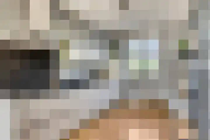 Broederwal 249 Helmond thumbnail 14