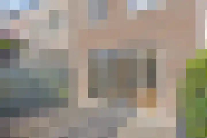 Broederwal 249 Helmond thumbnail 19