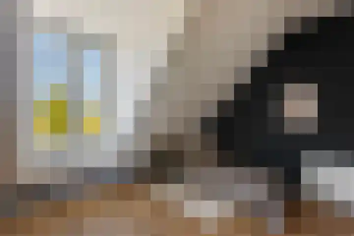 Broederwal 249 Helmond thumbnail 33
