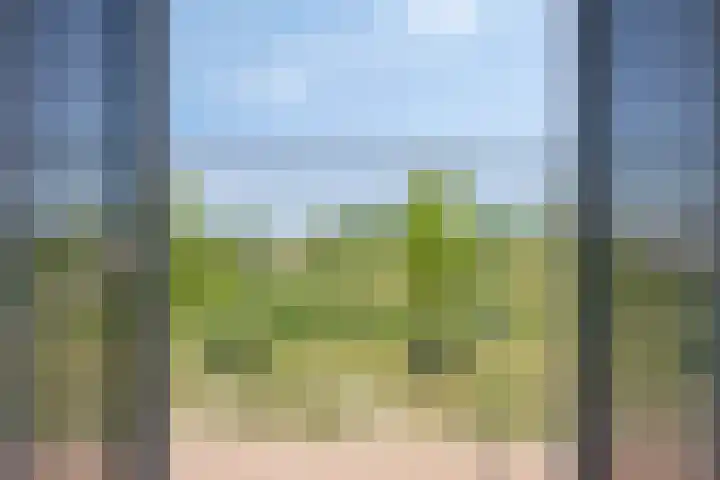 Broederwal 249 Helmond thumbnail 34
