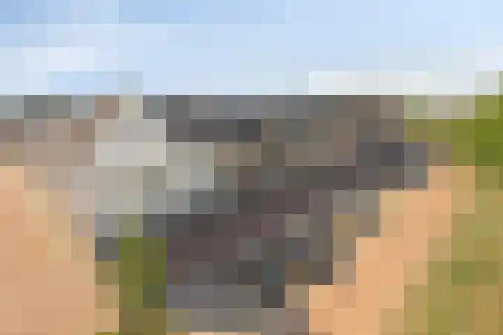 Broederwal 249 Helmond thumbnail 35