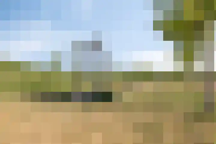 Broederwal 249 Helmond thumbnail 4