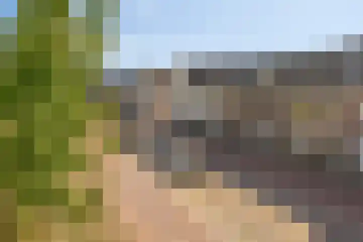 Broederwal 249 Helmond thumbnail 5