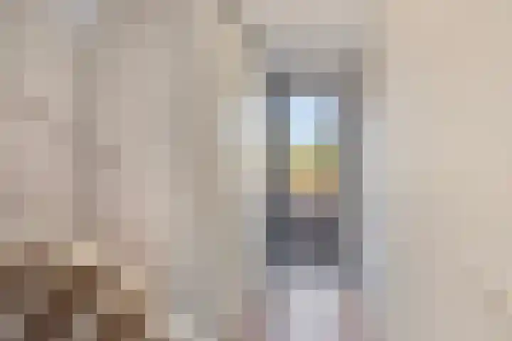 Broederwal 249 Helmond thumbnail 7