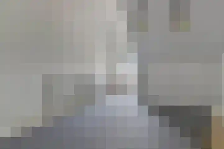 Broederwal 263 Helmond thumbnail 21