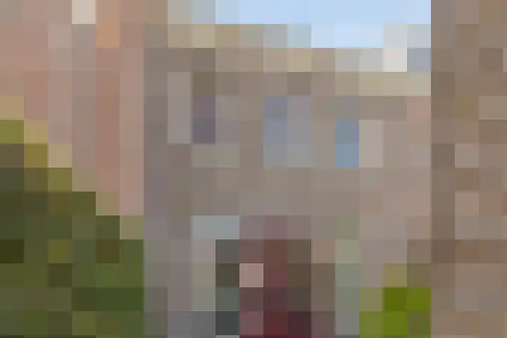 Broederwal 263 Helmond thumbnail 25